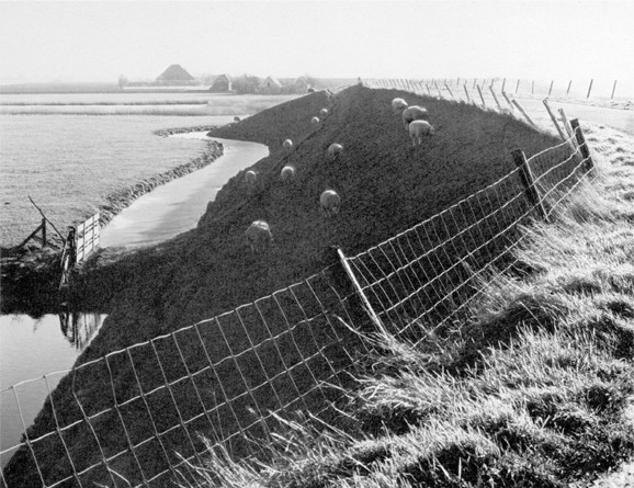 schilder_t215